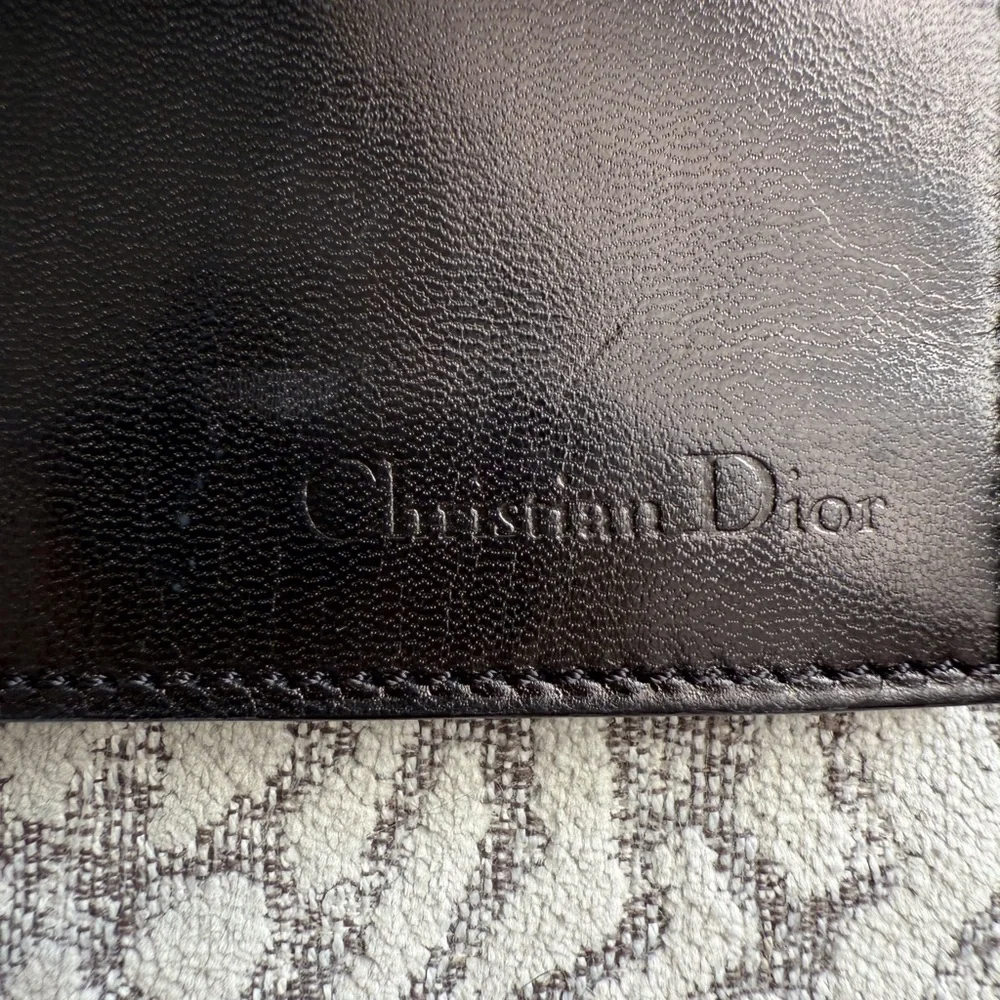 Dior authentic christian